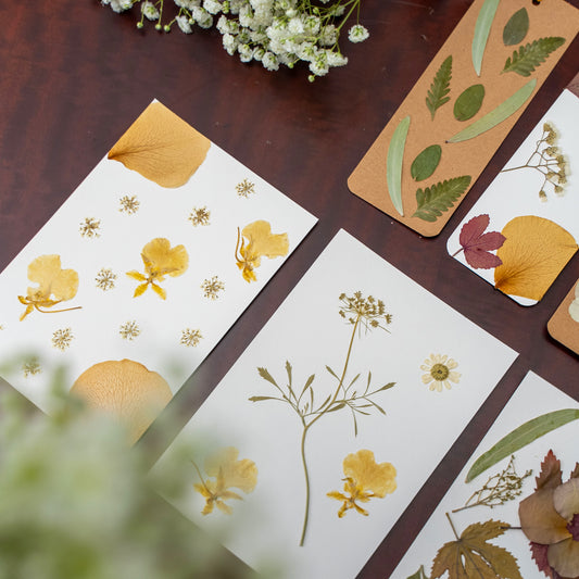 Botanical Bookmark or Postcard Design