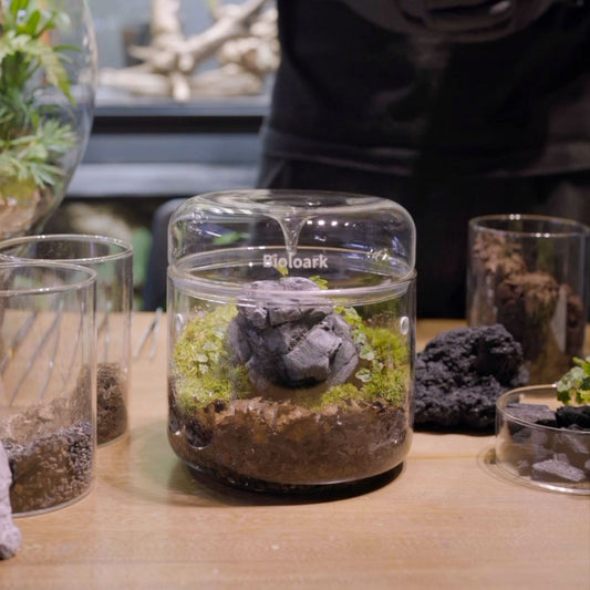 Mini Nature Terrarium Workshop