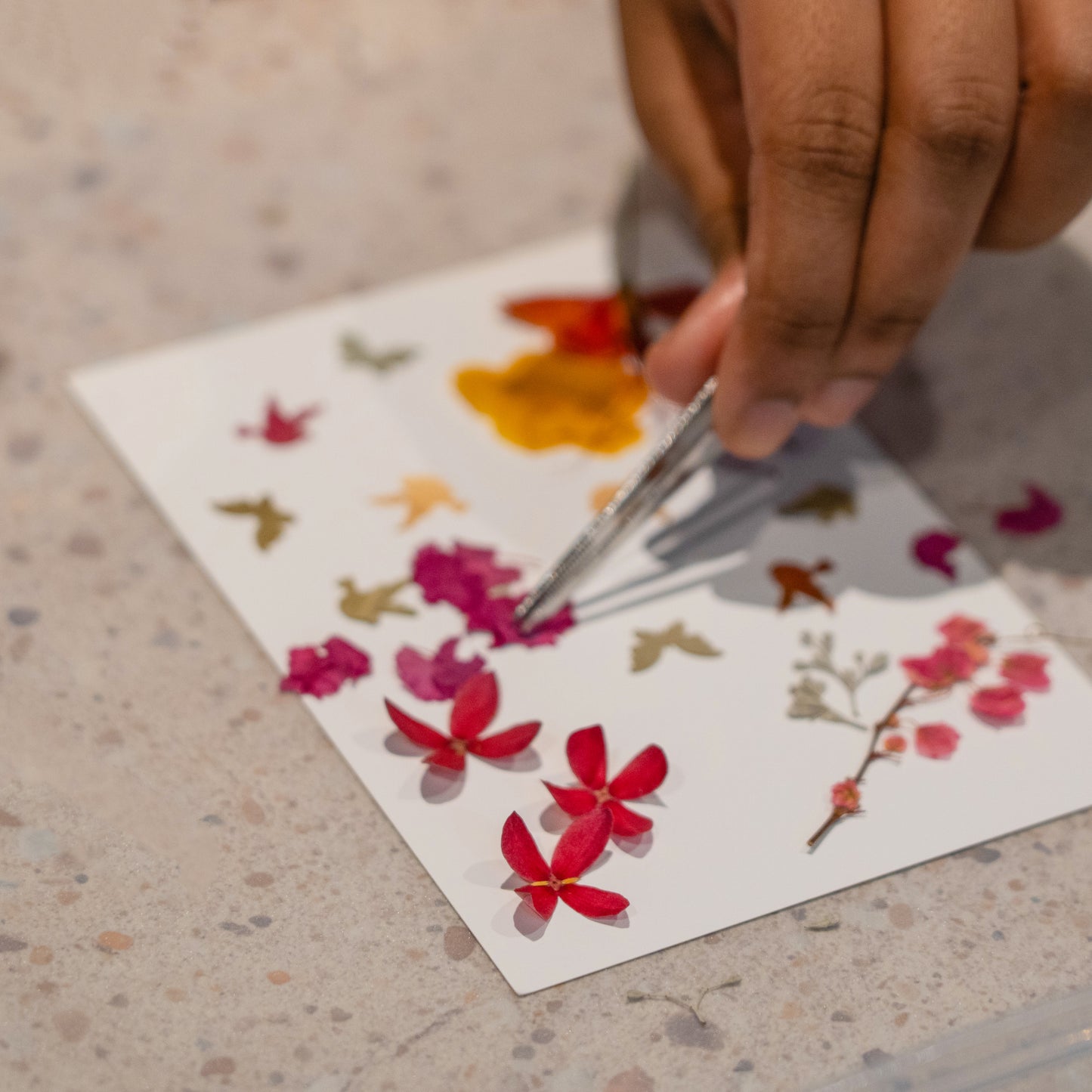 Botanical Bookmark or Postcard Design