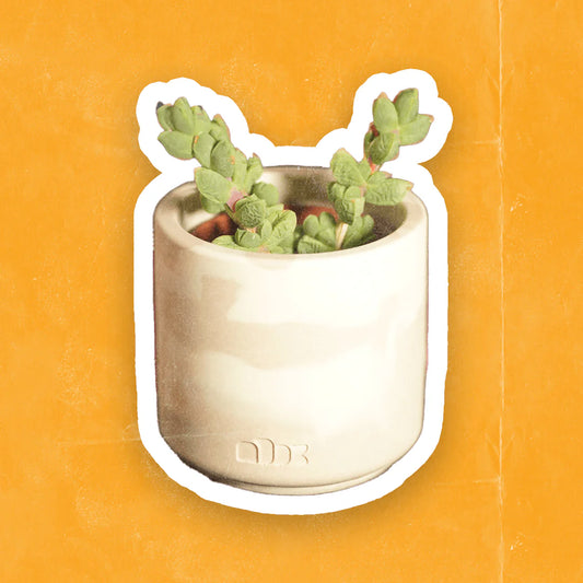 Lil Jesmonite Pot