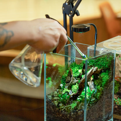 Nature Terrarium Workshop (Group)
